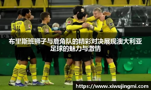 布里斯班狮子与鹿角队的精彩对决展现澳大利亚足球的魅力与激情