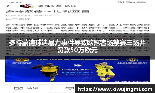 J9多特蒙德球迷暴力事件导致欧冠客场禁赛三场并罚款50万欧元